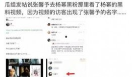 吃瓜视频网站黑料视频,揭秘网络背后的真相
